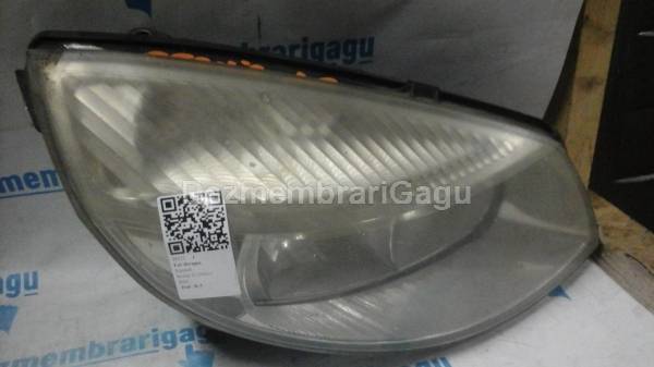 Vand far dreapta RENAULT SCENIC II (2003-)