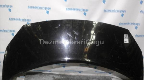De vanzare capota RENAULT SCENIC II (2003-)