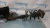 Amortizor fata dreapta Mercedes A-class / W168 (1997-2004)