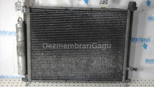 Vand radiator apa ac RENAULT CLIO III (2005-) Benzina din dezmembrari