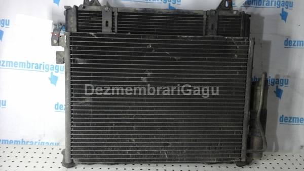 Vand radiator apa RENAULT KANGOO I (1998-), 1.9 Diesel din dezmembrari