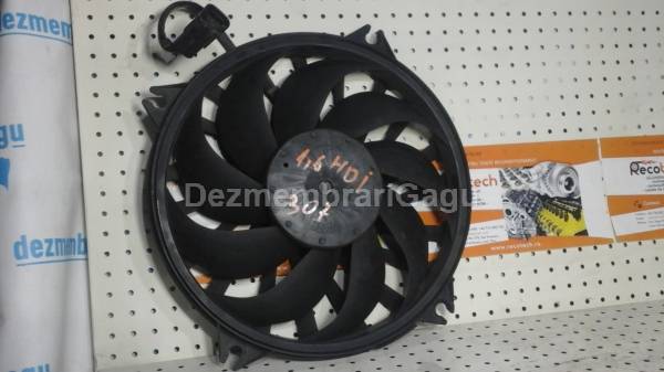 Vand electroventilator PEUGEOT 307, 1.6 Diesel, 80 KW din dezmembrari