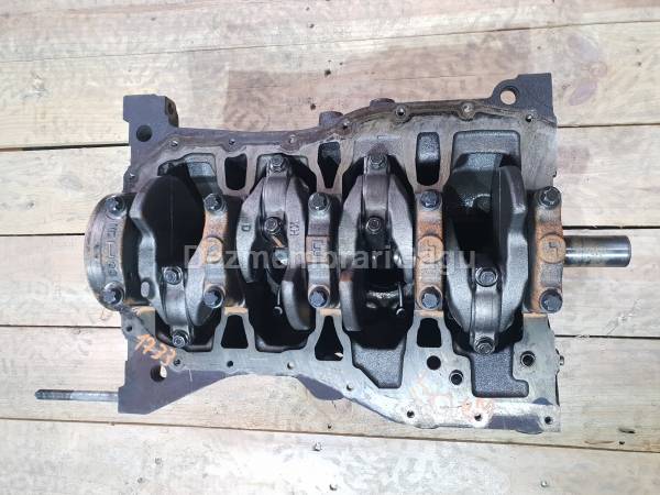 Bloc motor ambielat RENAULT CLIO III (2005-), 1.5 Diesel, 78 KW