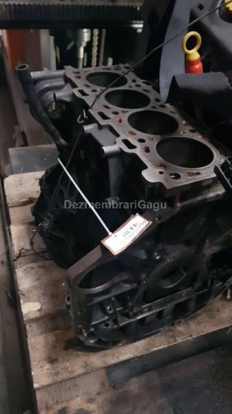 Bloc motor ambielat Nissan Qashqai