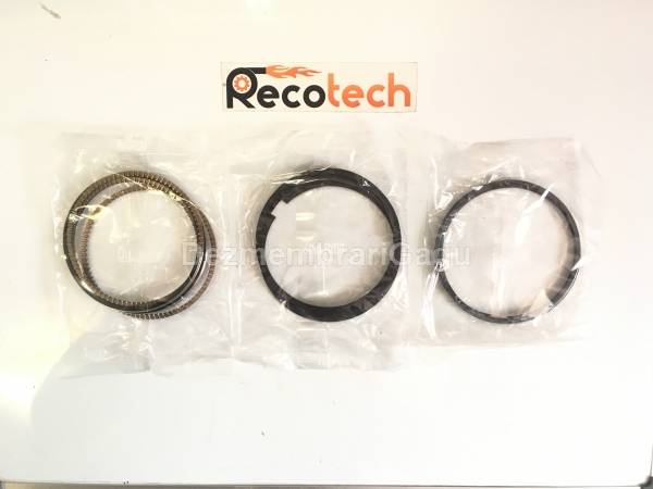 Segmenti RENAULT ESPACE IV (2002-)