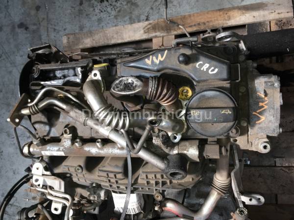  Motor VOLKSWAGEN GOLF VI (5K1), 1.6 Diesel, 77 KW sh