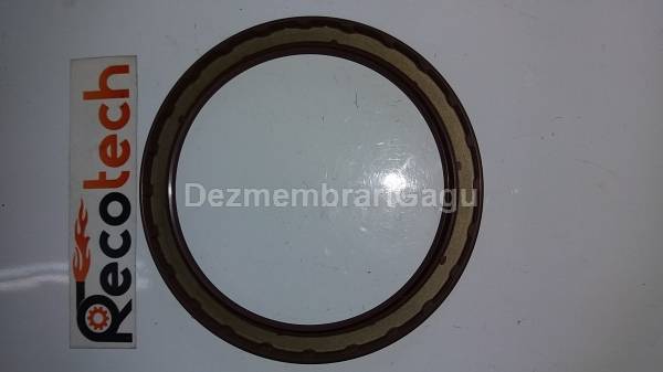 Simering arbore spate Citroen Berlingo