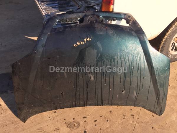 Vand capota RENAULT SCENIC I (1999-) din dezmembrari