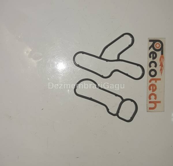 Vand garnitura termoflot BMW 3 E90/E91/E92/E93 (2005-), 2.0 Diesel