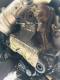 Pompa inalta presiune Mercedes M-class / W166 (2011-2015)