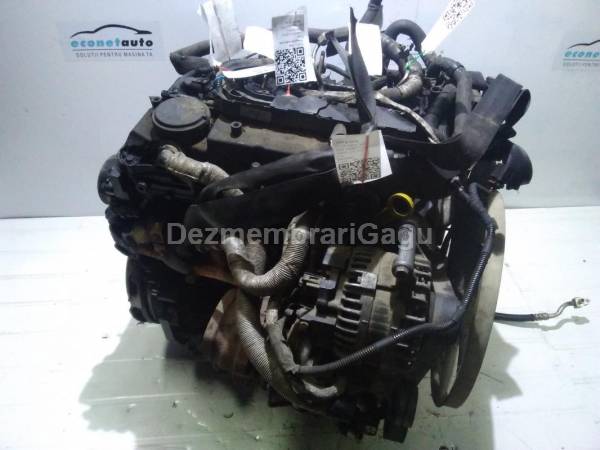 Vand pompa servodirectie FORD TRANSIT VIII (2006-), 2.2 Diesel, 63 KW