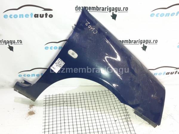 Vand aripa dreapta fata RENAULT CLIO II (1998-) din dezmembrari