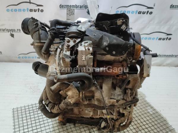 Vand pompa inalta presiune VOLKSWAGEN GOLF VI (5K1), 1.6 Diesel, 77 KW din dezmembrari