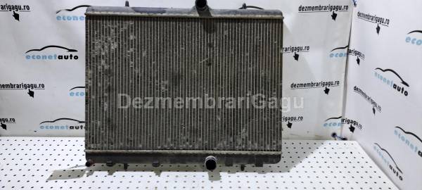 Vand radiator apa PEUGEOT 307, 1.6 Diesel