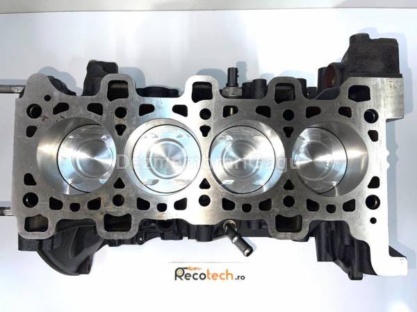 Bloc motor ambielat Renault Master III Furgon (FV)
