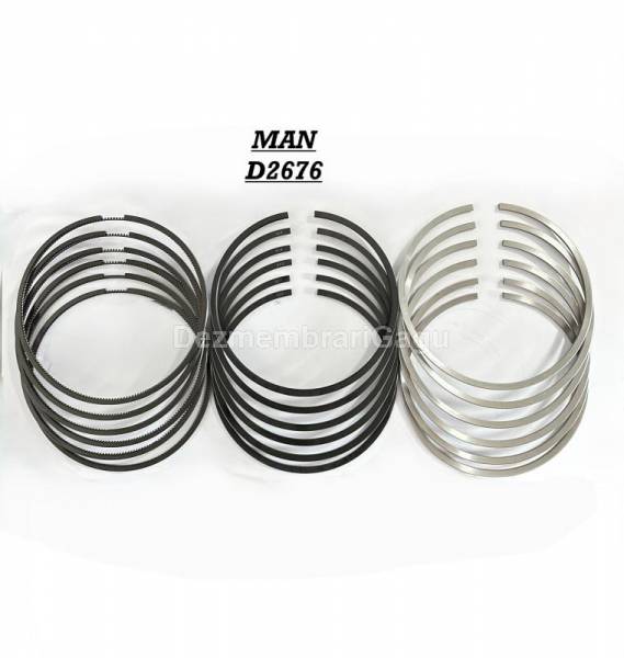 Segmenti MAN TGX