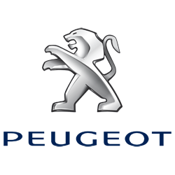 Amortizor capota Peugeot 107